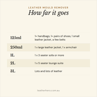 Leather Mould Remover