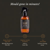 Leather Mould Remover