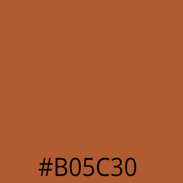 Leather Paint - Rust Leather Repair & Recolouring Leather Hero Australia