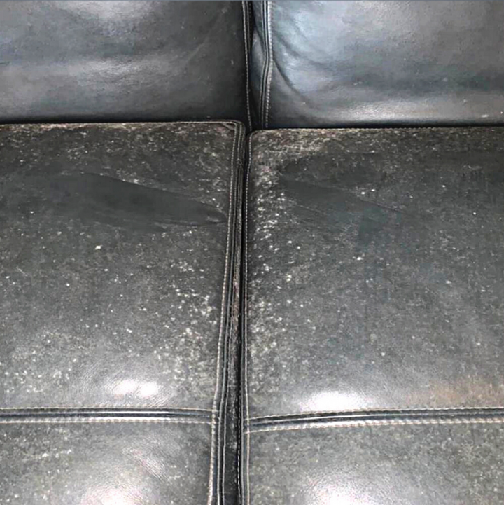 Clean mould from leather with Leather Hero pro-grade leather products