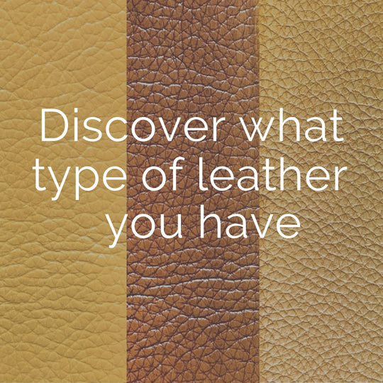 Learn about leather – Leather Hero Australia