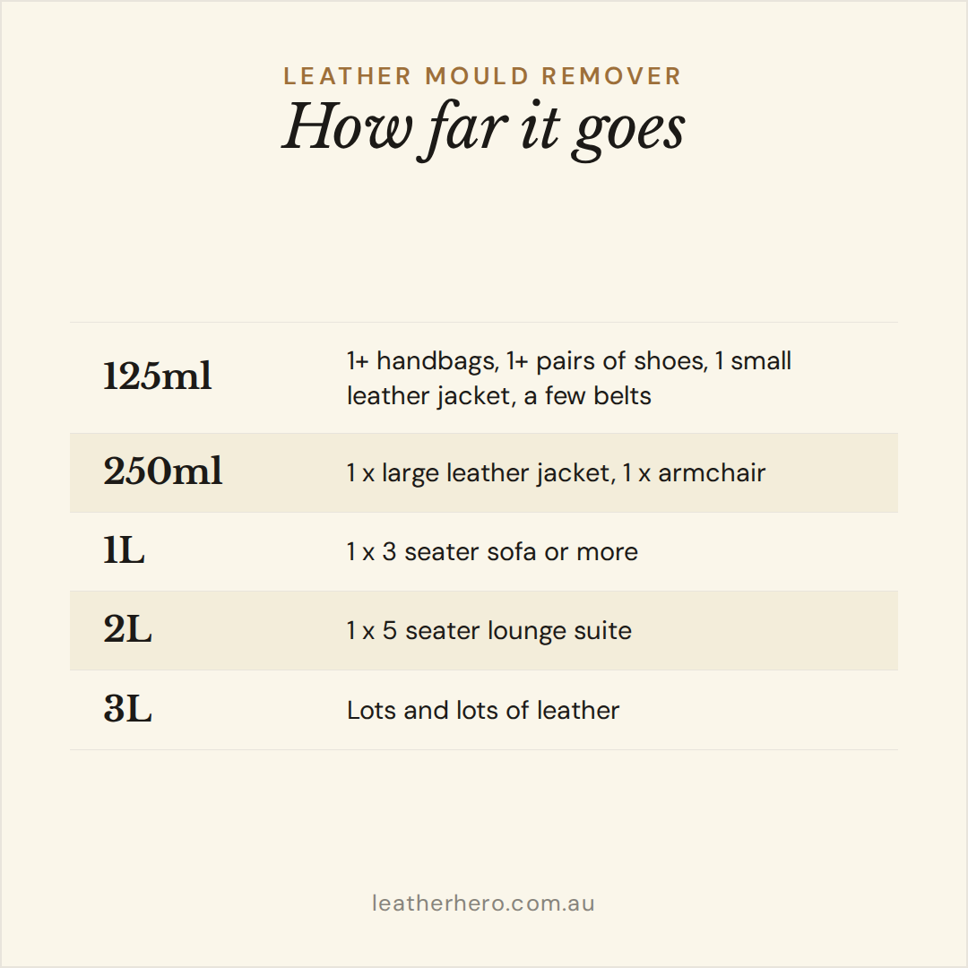 Leather Mould Remover