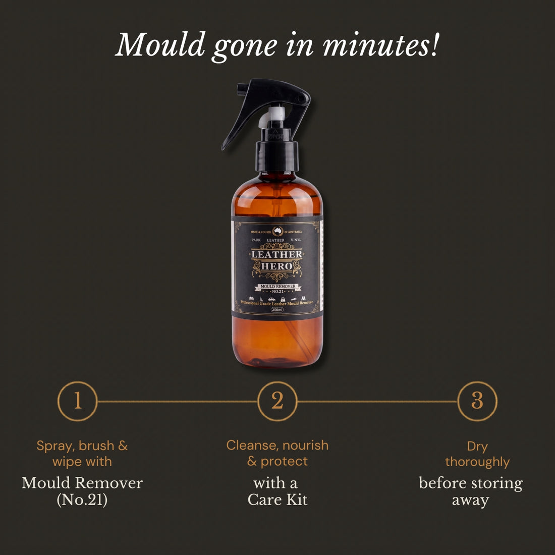 Leather Mould Remover