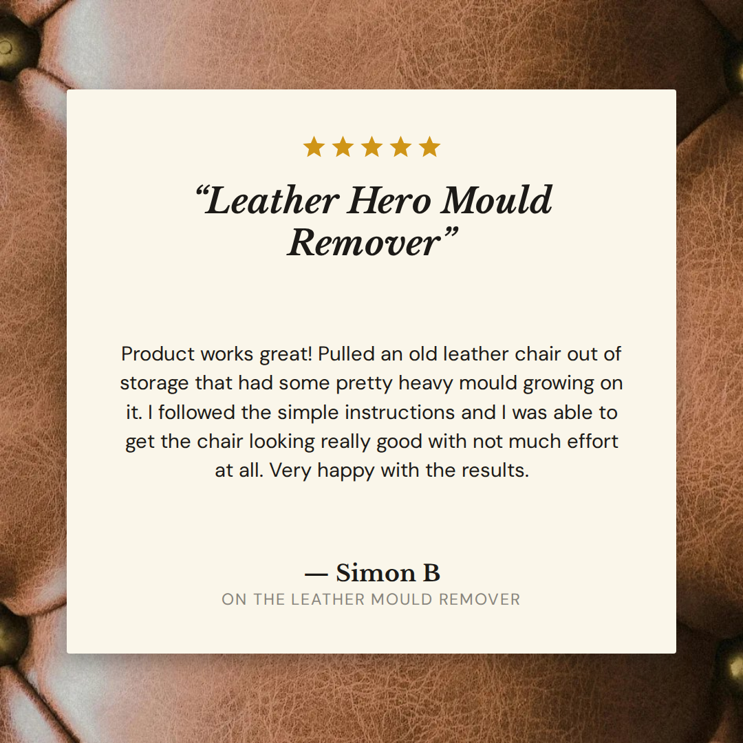 Leather Mould Remover