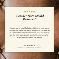 Leather Mould Remover