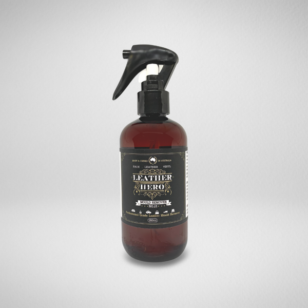 Leather Mould Remover